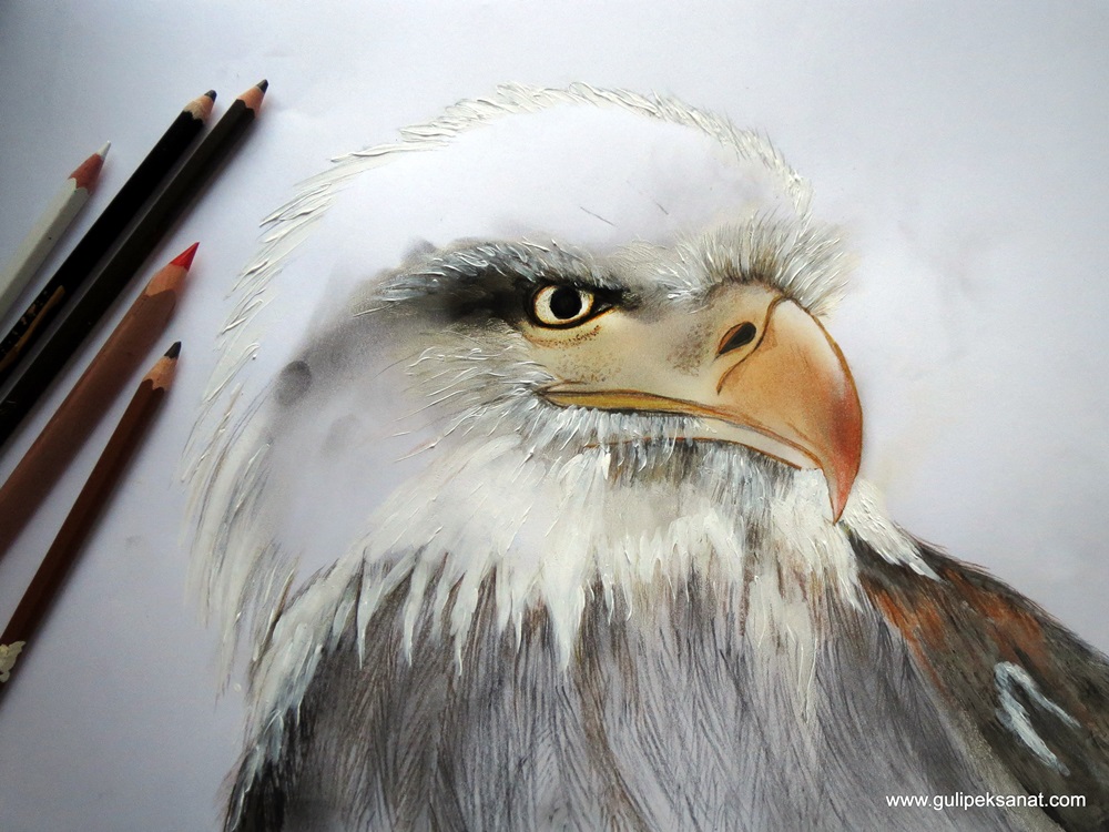 Eagle Drawing By GÜL ipek