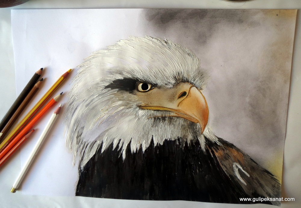 Eagle Drawing By Gül ipek