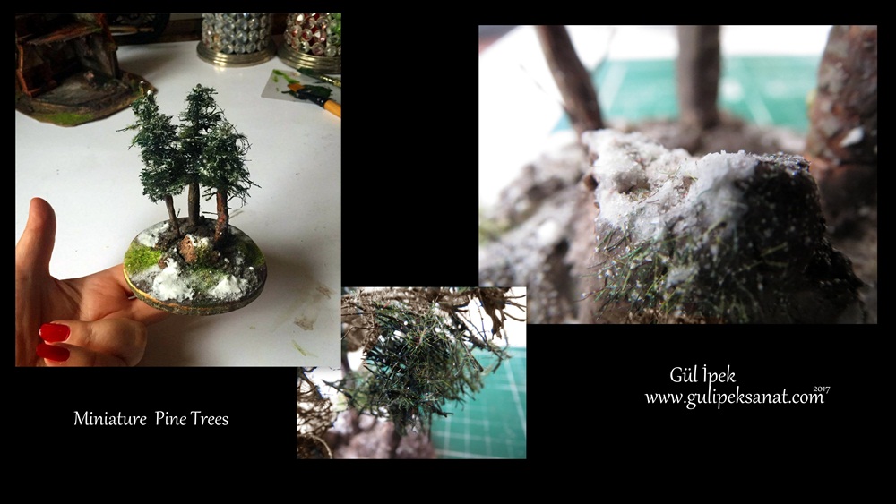 Miniature Pine Trees /Gül ipek 2017